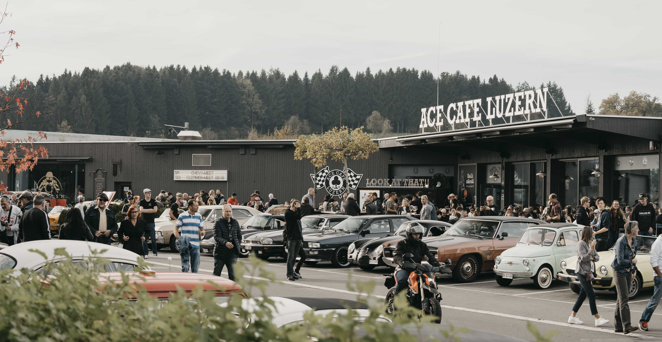 65d353c5cfed031a83a88355__DSC6373-min-p-2600